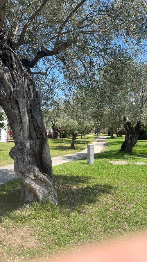 L'Isola Dei Vacanzieri Sant'Andrea Apostolo dello Ionio Luaran gambar